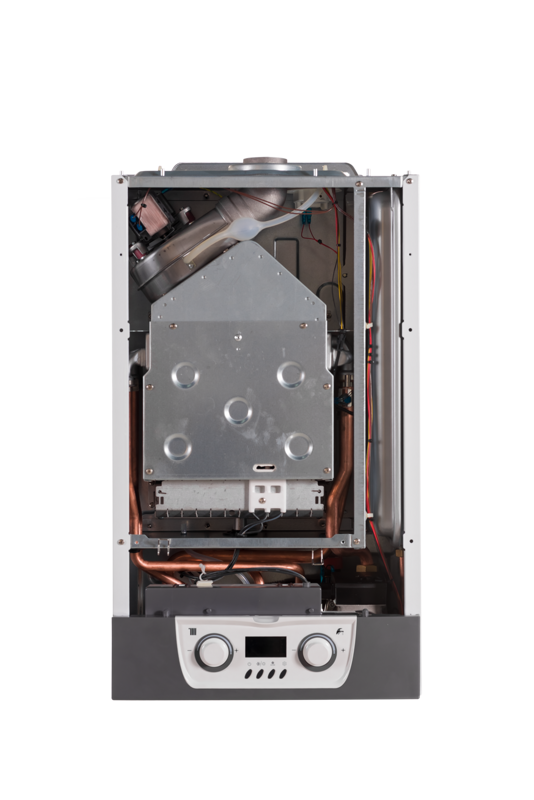 Котел газовый двухконтурный настенный Maestro Lux M20Т, MIZUDO